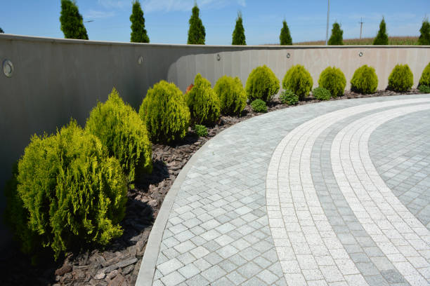 Best Driveway Pavers Near Me  in Mart, TX